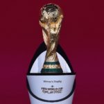 Campionatul mondial Qatar 2022