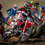 Muhammad Ali: Lecțiile unui campion absolut, acum într-o ediție memorabilă!