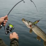 Lipsă energie după antrenament – soluția naturală pentru refacere rapidă!