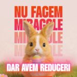 Easter Sale – ultima zi de reduceri pe Sport Maniac: confort și performanță la -15%!